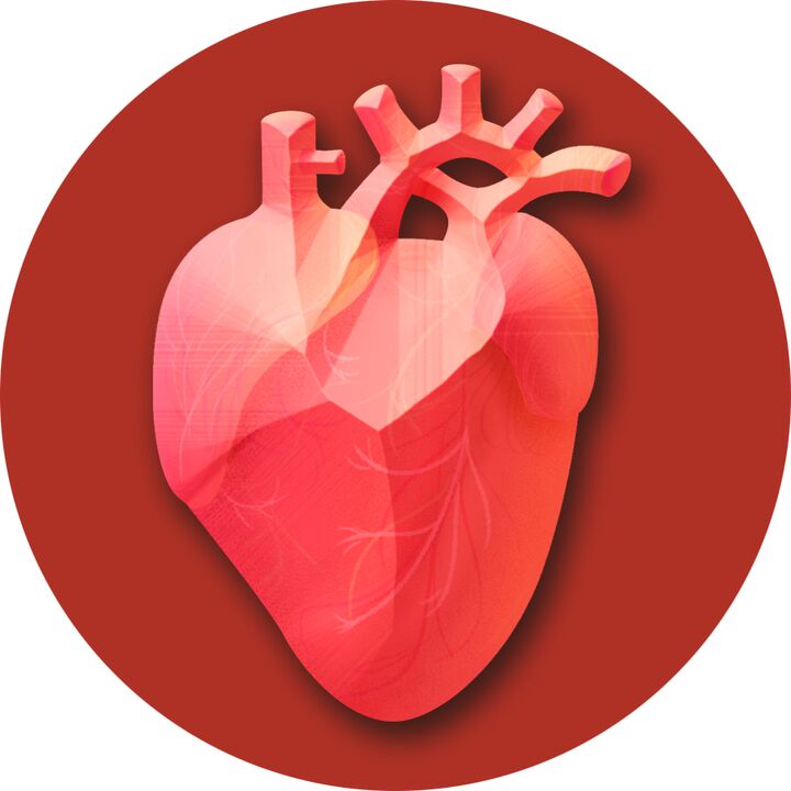 Hypertenzia - stres na srdce